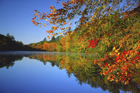 fall