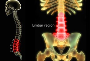Hands on Care for Low Back Pain